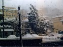 La Nevicata a Guarcino del 1986